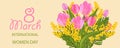 Bouquet of mimosa and pink tulips. Desing for March 8 International Women`s Day with flowers. Vector Royalty Free Stock Photo