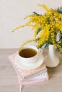 A bouquet of mimosa in a white vase, a cup of tea on a stack of notebooks for notes Royalty Free Stock Photo