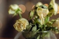 Bouquet of miniature weathered roses. Small dry roses in vase. White flowers close up. Withering concept. Parting concept. Royalty Free Stock Photo