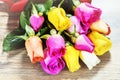 Bouquet of multicolor roses, closeup. St Valentine`s greeting ca Royalty Free Stock Photo