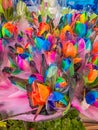 bouquet of multicolor tulips. fresh spring flowers