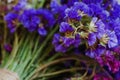 Bouquet of multicolored colors of dry flowers on one-ton background on woven hat made of straw. Violet.