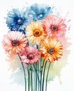 A bouquet of multicolored gerberas on a white background. Watercolour summer paint drawing.