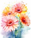 A bouquet of multicolored gerberas on a white background. Watercolour summer paint drawing.