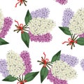 Bouquet of multicolored three branches of lilac seamless pattern