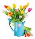 Bouquet of multicolored tulip flowers in blue pot Royalty Free Stock Photo