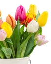 Bouquet of multicolored tulip flowers in white Royalty Free Stock Photo