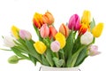 Bouquet of multicolored tulip flowers in white pot Royalty Free Stock Photo