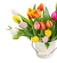 Bouquet of multicolored tulip flowers in white Royalty Free Stock Photo