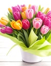 Bouquet of multicolored tulip flowers in white pot close up isolated on white background Ai Generated Royalty Free Stock Photo