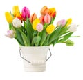 Bouquet of multicolored tulip flowers in white Royalty Free Stock Photo