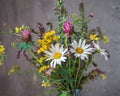 Bouquet of multicolored wildflowers, chamomile, clover and other wild flowers close up
