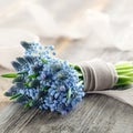 Bouquet of muscari flowers