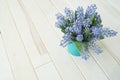 A bouquet of Muscari. Wooden background. The view from the top. Royalty Free Stock Photo