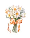 Bouquet of narcissus flowers tied with orange ribbon.