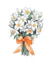 Bouquet of narcissus flowers tied with orange ribbon.