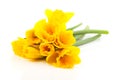 Bouquet narcissus flowers Royalty Free Stock Photo