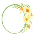 Bouquet narcissus in a round frame isolated vector clipart illustration of spring narcissus flowers