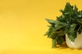 A bouquet of nettles in a bowl stands on a yellow background. Royalty Free Stock Photo