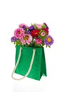 Bouquet New England Asters in bag