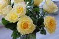 A dozen long stem yellow roses in a vase