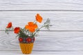 Bouquet of orange eshsholtsiya flowers in a vase Royalty Free Stock Photo