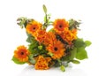 Bouquet of orange flowers Royalty Free Stock Photo