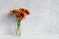 Bouquet of orange flowers coneflowers in vase on table agains gray wall. Copy space Minimal style. Template for postcard, text, Royalty Free Stock Photo