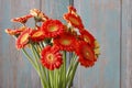 Bouquet of orange gerbera daisies Royalty Free Stock Photo