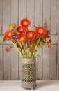 Bouquet of orange gerbera daisies Royalty Free Stock Photo