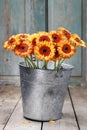 Bouquet of orange gerbera daisies in silver bucket on wooden table Royalty Free Stock Photo