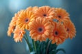 Bouquet of orange gerbera daisies with a soft focus background, creating a tranquil ambiance Royalty Free Stock Photo