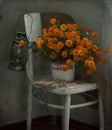 Bouquet of orange marigolds