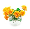 Bouquet of orange roses Royalty Free Stock Photo