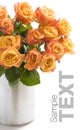 Bouquet of orange roses Royalty Free Stock Photo