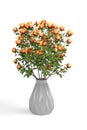 Bouquet of orange roses in a glass gray round vase isolated on a white background Royalty Free Stock Photo