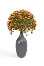 Bouquet of orange roses in a glass gray round vase isolated on a white background Royalty Free Stock Photo