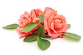 Bouquet orange roses Royalty Free Stock Photo