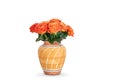 Bouquet of orange roses in vase isolated on white. Royalty Free Stock Photo