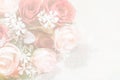Bouquet of orange roses soft blur background in vintage pastel t Royalty Free Stock Photo