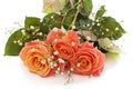 Bouquet orange roses Royalty Free Stock Photo