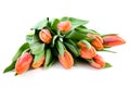 Bouquet orange tulips