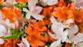 Bouquet of orange and white alstroemeria flowers: close up top view Royalty Free Stock Photo