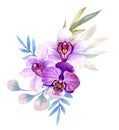 a modest bouquet of small pink watercolor orchids with tropical leaves,