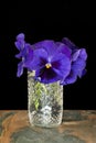 Bouquet of Pansies in Clear Glass Container