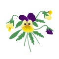 Bouquet of pansies, yellow and purple petals