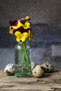 Bouquet of pansy flowers in glass vase