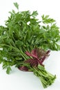 Bouquet of parsley