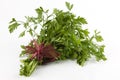 Bouquet of parsley