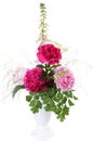 Bouquet of peonies isolated